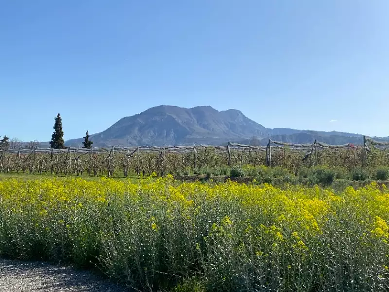 Terrain à bâtir, 702 m² - Ventavon (05300)