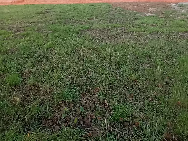 Terrain à bâtir, 630 m² - Bey (71620)