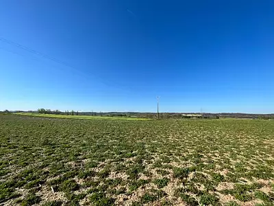 Terrain à bâtir, 733 m²