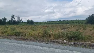 Terrain à bâtir, 605 m²