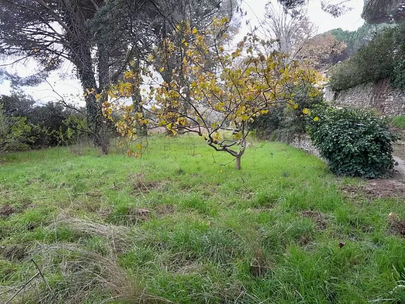 Terrain à bâtir, 230 m² - La Garde-Freinet (83680)