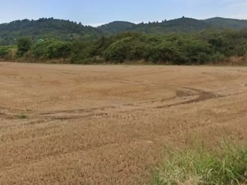 Maison neuve, 59 m² - Corbières (04220)