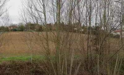 Terrain à bâtir, 560 m²