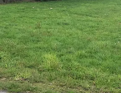 Maison neuve, 120 m²