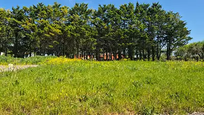 Terrain à bâtir, 257 m²