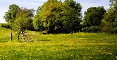 Maison neuve, 75 m²