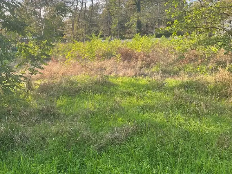 Terrain à bâtir, 880 m² - Vertheuil (33180)