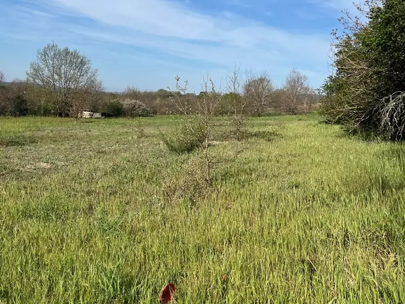 Maison neuve, 50 m² - Graulhet (81300)