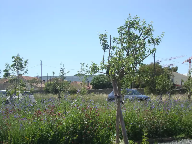 Terrain à bâtir, 257 m² - Hyères (83400)
