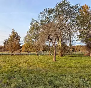 Maison neuve, 90 m²