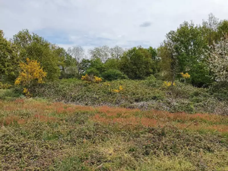 Terrain à bâtir, 1 250 m² - Rosnay (85320)