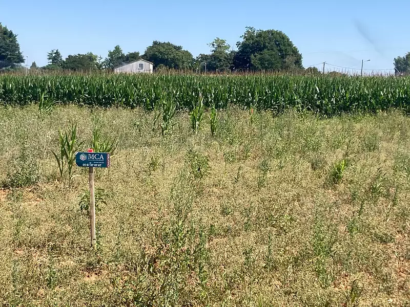 Terrain à bâtir, 630 m² - Balanzac (17600)