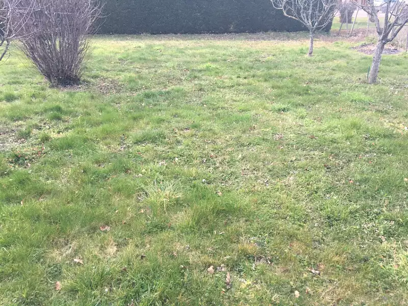 Terrain à bâtir, 725 m² - Val-Revermont (01370)