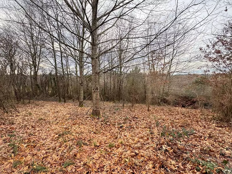 Terrain à bâtir, 1 700 m² - Agonac (24460)