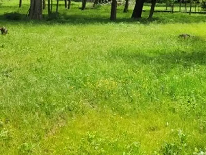 Terrain à bâtir, 1 000 m² - Joué-lès-Tours (37300)