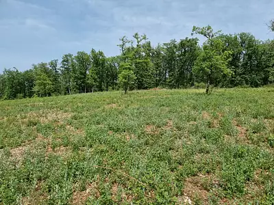 Maison neuve, 90 m²