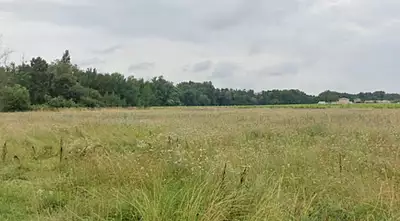 Terrain à bâtir, 354 m²