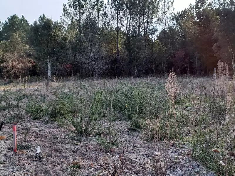 Terrain à bâtir, 587 m² - Clermont (40180)