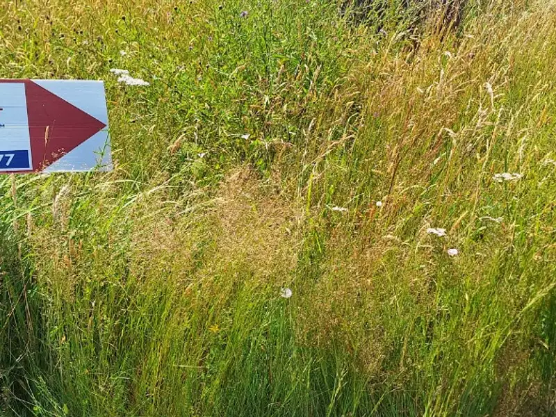 Terrain à bâtir, 629 m² - Fontenilles (31470)