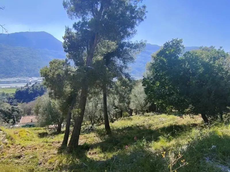 Maison neuve, 88 m² - Saint-Martin-du-Var (06670)