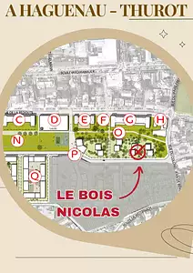 LE BOIS NICOLAS