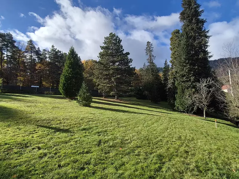 Terrain à bâtir, 540 m² - Dieffenbach-au-Val (67220)