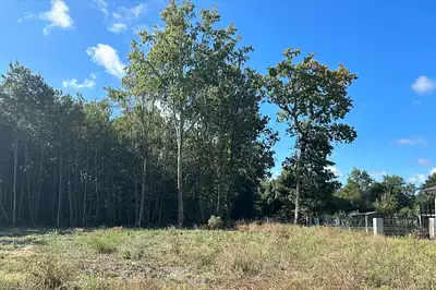 Maison neuve, 80 m²