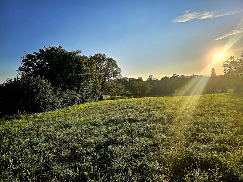 Terrain à bâtir, 900 m² - Saint-Jean-sur-Veyle (01290)