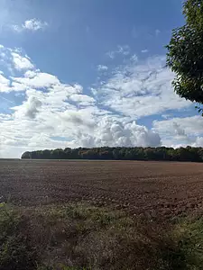 Terrain à bâtir, 223 m²