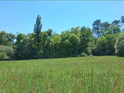 Maison neuve, 100 m²