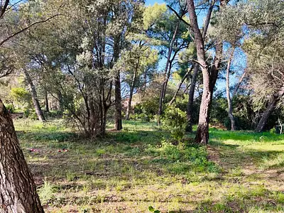 Terrain à bâtir, 500 m²