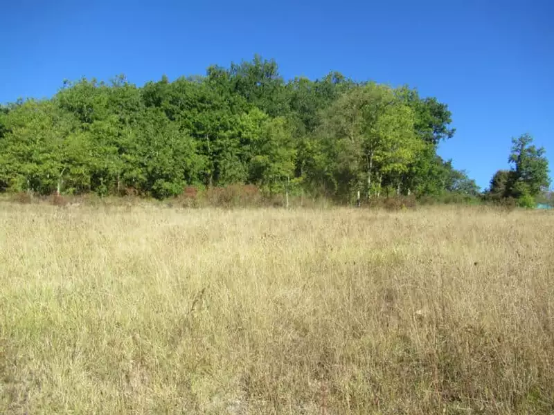 Terrain à bâtir, 1 428 m² - Celles (24600)