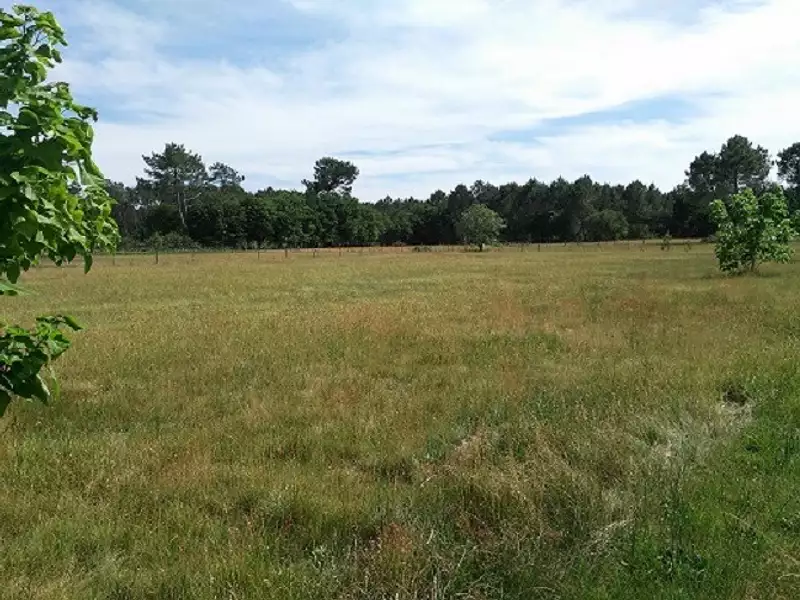 Terrain à bâtir, 518 m² - Le Barp (33114)