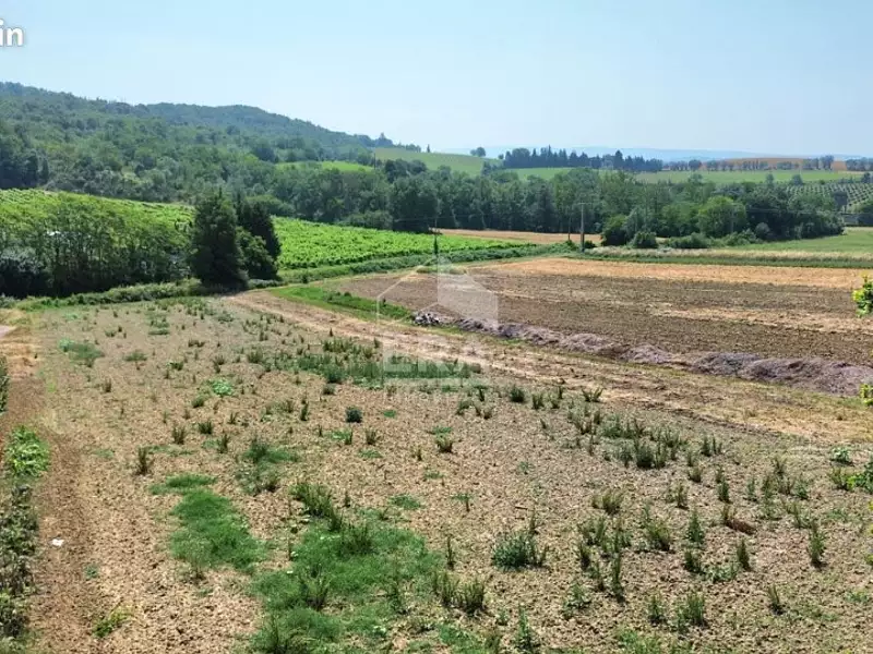 Terrain à bâtir, 1 400 m² - Saint-Martin-de-Villereglan (11300)
