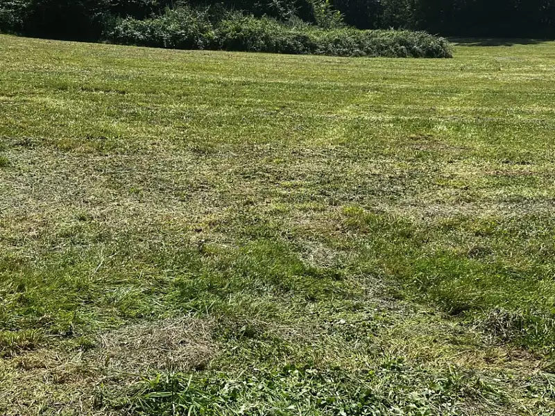 Terrain à bâtir, 870 m² - Le Douhet (17100)