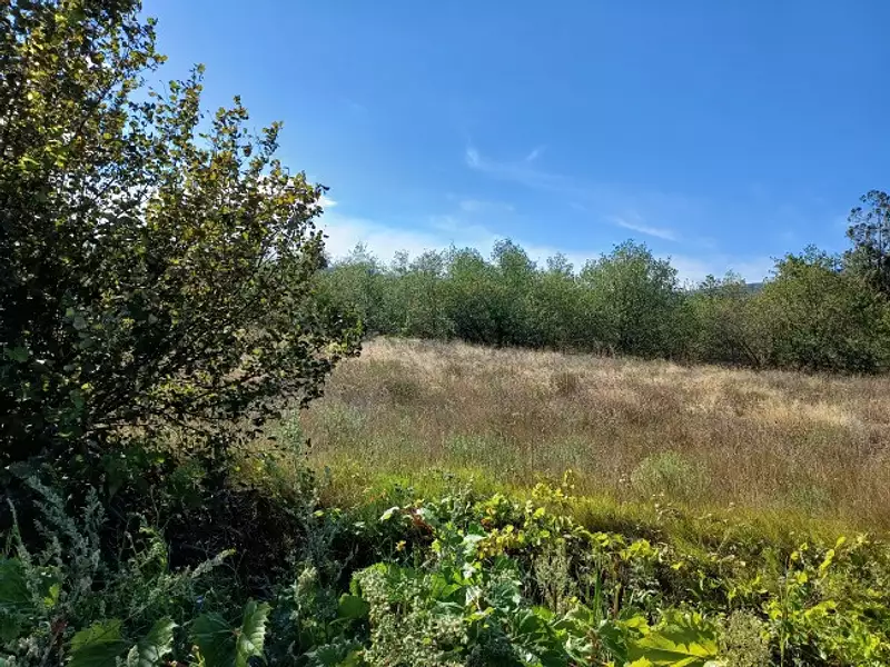 Terrain à bâtir, 950 m² - Théza (66200)