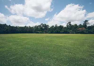 Terrain à bâtir, 800 m²