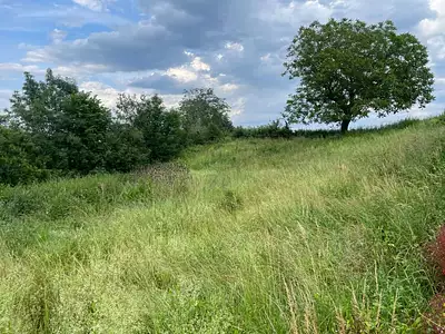 Terrain à bâtir, 686 m²