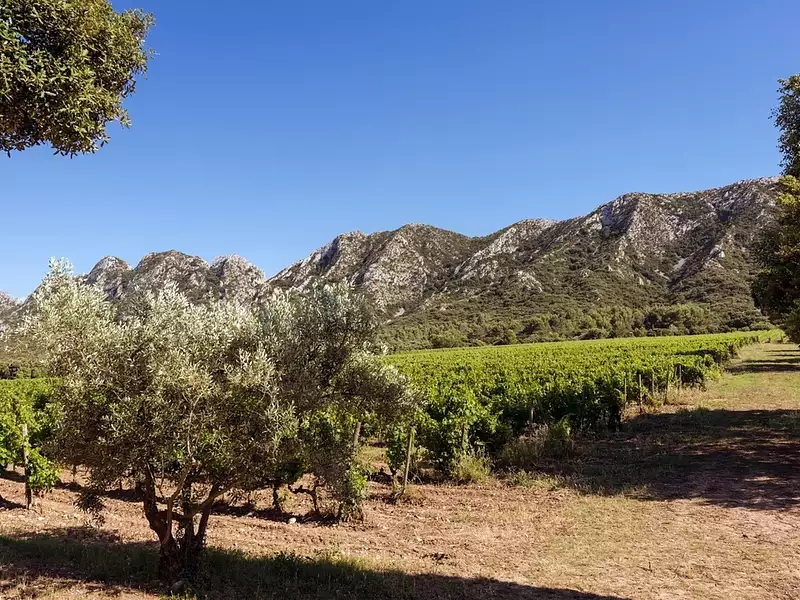 LES VILLAS DOMAINE DE VALLAT - Saint-Rémy-de-Provence (13210)