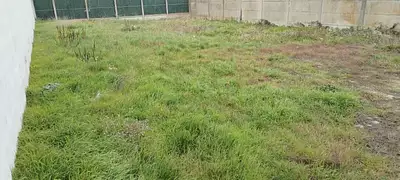 Terrain à bâtir, 289 m²