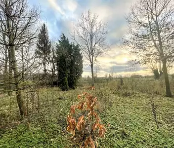 Maison neuve, 115 m²