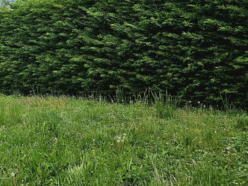 Terrain à bâtir, 670 m² - Bâgé-le-Châtel (01380)