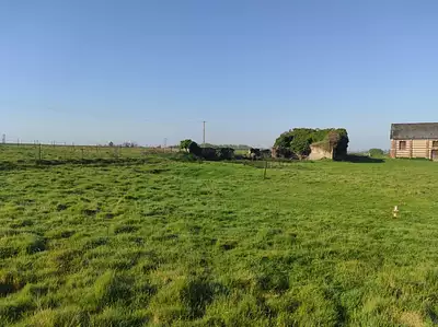 Maison neuve, 83 m²