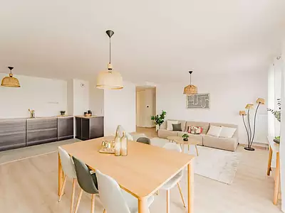 Les Lumières de l’Escaut