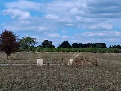 Terrain à bâtir, 980 m²