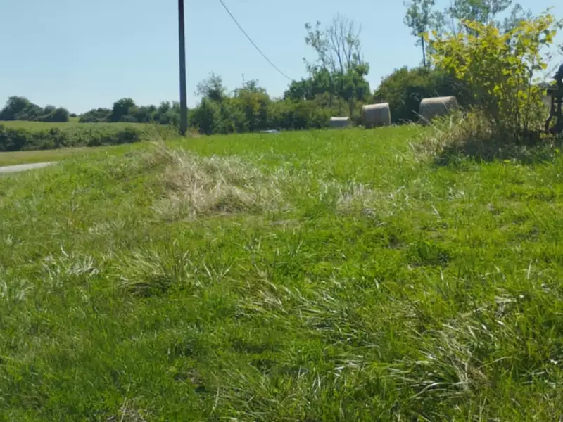 Terrain à bâtir, 4 000 m² - Allériot (71380)