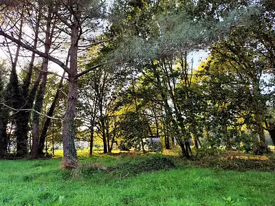 Maison neuve, 80 m²