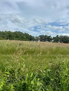 Terrain à bâtir, 600 m²