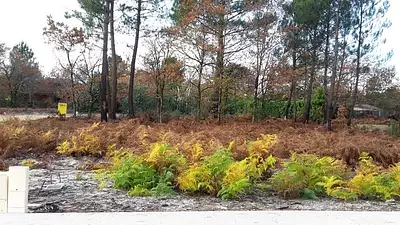 Maison neuve, 80 m²