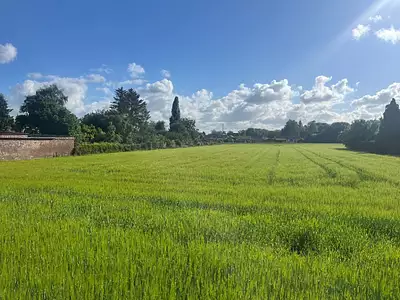 Maison neuve, 90 m²